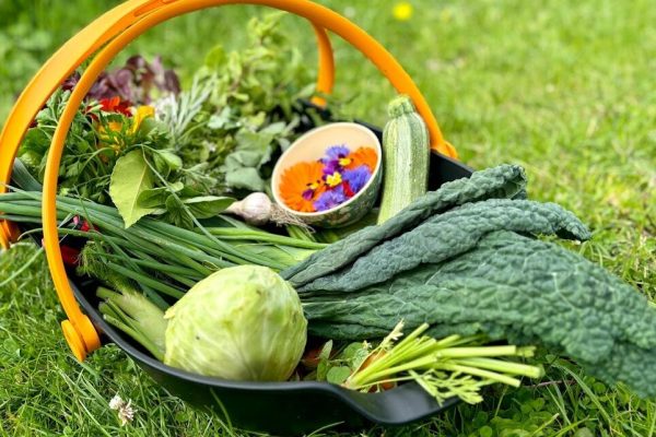 794df96c-f513-4d90-bc01-ed3c86acef8d