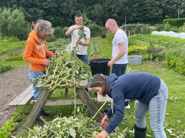 95ad8f5b-1dd8-4910-9cb9-8d2353fa31c2